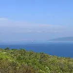 Amelija Yourcroatiaholiday *